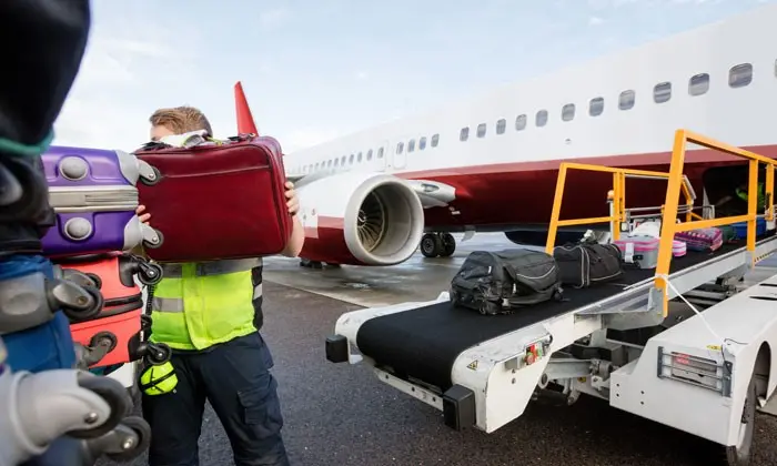 Pain Points in Traditional Baggage Management